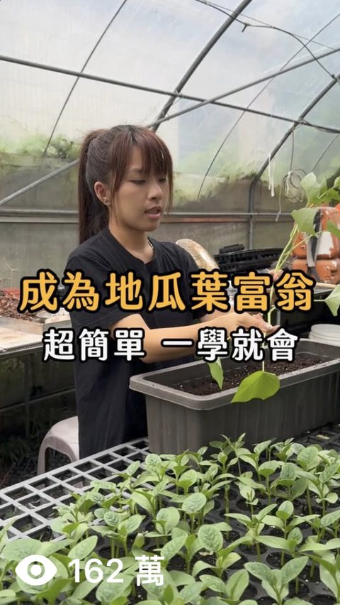 有機農場 牛埔有機農場 短影音,觀看 162萬